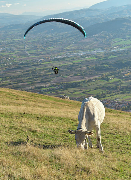 Parapendio 36.jpg