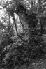15102024-_POT7279.jpg