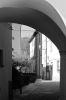 DSC02762.jpg