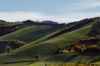 DSC02773.jpg