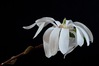Nome del file=2017-03-20-09_18_52_ZS_PMax.jpg
Dimensione del file=160KiB
Dimensioni=1400x933
Aggiunta il=20 Mar 2017 2017-03-20-09_18_52_ZS_PMax.jpg