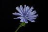 Nome del file=2017-09-17-16_44_23_ZS_PMax.jpg
Dimensione del file=205KiB
Dimensioni=1400x931
Aggiunta il=18 Set 2017 2017-09-17-16_44_23_ZS_PMax.jpg