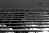Nome del file=2018-pattern-08.jpg
Dimensione del file=367KiB
Dimensioni=1400x934
Aggiunta il=01 Nov 2018 2018-pattern-08.jpg