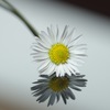 K3_05059r2.JPG