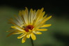 K3_05276.JPG