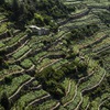 Paesaggio_15.jpg