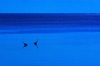 Paesaggio_16.jpg