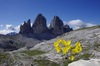 Nome del file=dellas73_giallo.jpg
Dimensione del file=363KiB
Dimensioni=1200x795
Aggiunta il=01 Ott 2014 dellas73_giallo.jpg