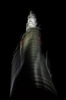 Nome del file=kmclaudio_biancoenero.jpg
Dimensione del file=170KiB
Dimensioni=926x1400
Aggiunta il=01 Dic 2014 kmclaudio_biancoenero.jpg