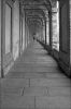 IMGP4361.jpg