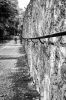 imgp1503bwweb.jpg
