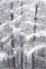 _IGP6537-2_kl_.jpg