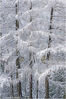 _IGP6537-3_kl_.jpg