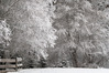 Nome del file=bri_kl_2_.jpg
Dimensione del file=1397KiB
Dimensioni=1500x1000
Aggiunta il=09 Gen 2025 bri_kl_2_.jpg