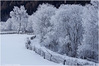 Nome del file=fb_IMG3039-1_kl.jpg
Dimensione del file=911KiB
Dimensioni=1408x939
Aggiunta il=02 Feb 2017 fb_IMG3039-1_kl.jpg
