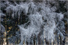 Nome del file=fb_IMG3052-1_kl_.jpg
Dimensione del file=1145KiB
Dimensioni=1406x937
Aggiunta il=04 Feb 2017 fb_IMG3052-1_kl_.jpg