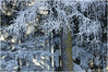 Nome del file=fb_IMG3061_kl.jpg
Dimensione del file=1110KiB
Dimensioni=1408x939
Aggiunta il=29 Gen 2017 fb_IMG3061_kl.jpg