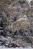 fb_IMGP9378-1-3.jpg