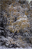 fb_IMGP9378-1~0.jpg