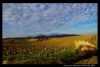 Colline_1.jpg