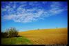 Colline_Pisane_9.jpg