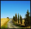 Copia_di_IMGP0479_1_copia.jpg