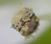 02-50mm_F5_6-IMG09850-crop.JPG