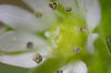 02-50mm_F5_6-IMG09850.JPG