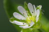 22-100mm_F11-IMG09620.JPG