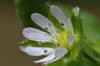 24-50mm_F5_6.jpg