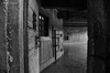 IMGP1338-Edit.jpg
