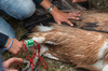 IMGP3119-Edit.jpg