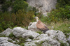 IMGP3178-Edit.jpg