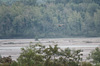 IMGP3196-Edit.jpg