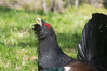 _IMG1522-Edit.jpg