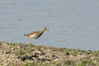 _IMG4510-Edit.jpg