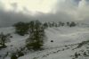 2010_01240115aR.JPG