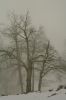 2010_01240202aR.JPG