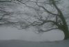 2010_01240226bR.JPG