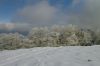 2010_01240303aR.JPG