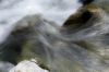 20090813_0521b.jpg