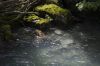 20090813_0530.jpg