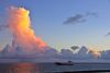 IMGP5233-r.JPG