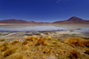 bolivia_20191029laguna_bianca_28829a_rid.JPG