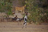 luangwa_valley20220624_2855929_rid.JPG