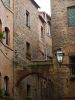 IMGP3142.jpg