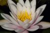 IMGP3614_a.jpg