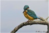 Cronovilla_sett__2015_014a.jpg