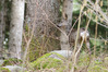 Nome del file=1680513729573.JPG
Dimensione del file=825KiB
Dimensioni=1493x995
Aggiunta il=07 Mag 2023 1680513729573.JPG
