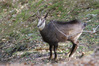 Nome del file=1680513729664.JPG
Dimensione del file=1300KiB
Dimensioni=1920x1280
Aggiunta il=07 Mag 2023 1680513729664.JPG